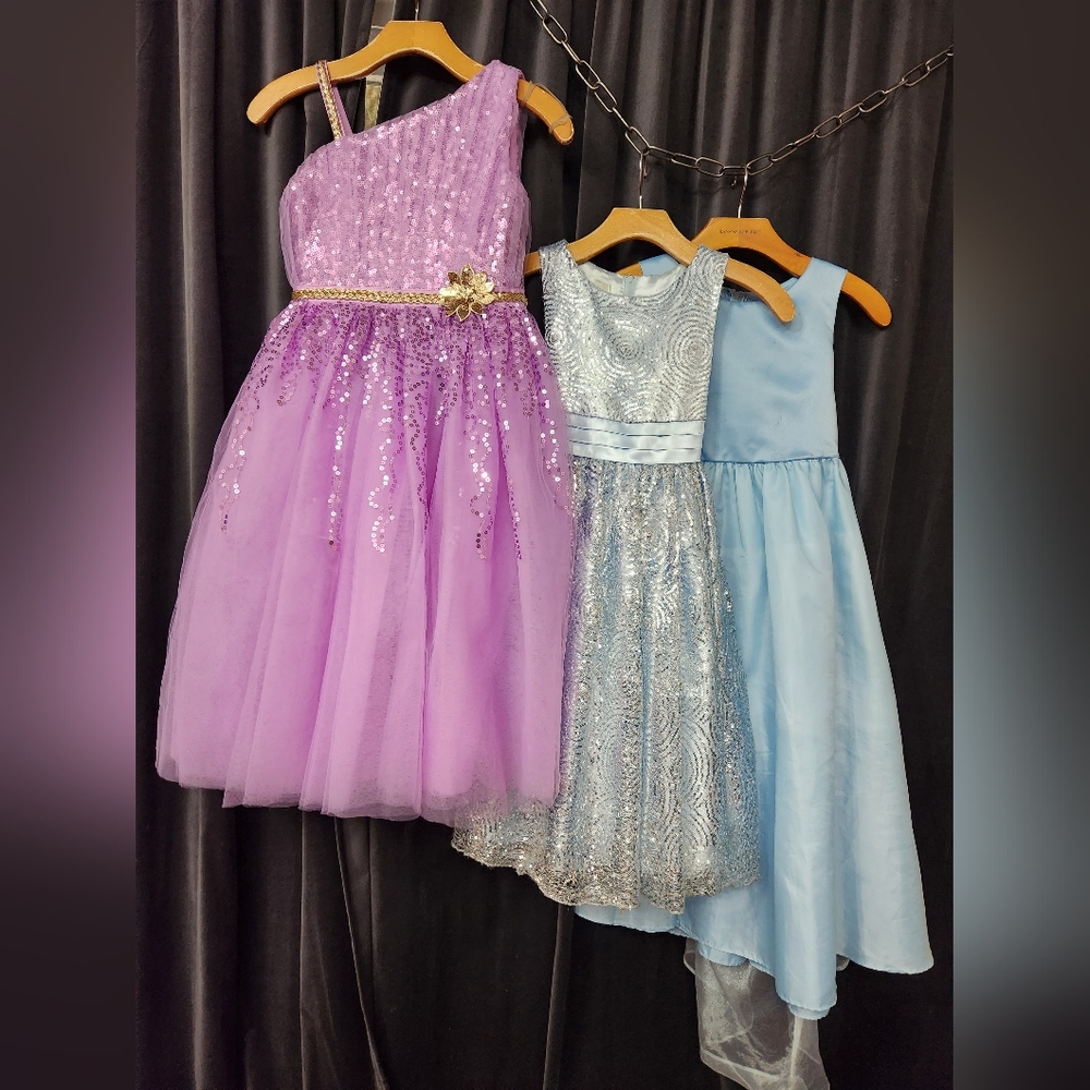 Lot of 3 Princess Dresses